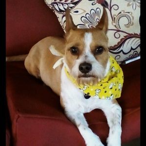 Meet your Posher, Troy